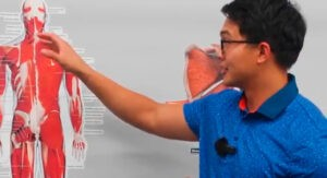 Dry Needling When to Use